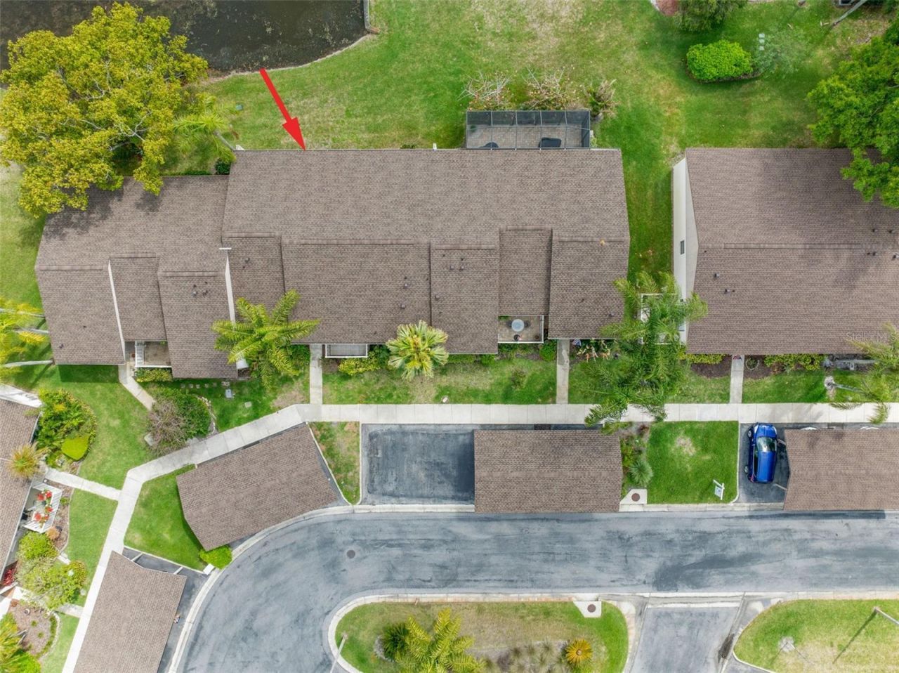 40 Sylvia Place, Oldsmar, FL 34677 Photo