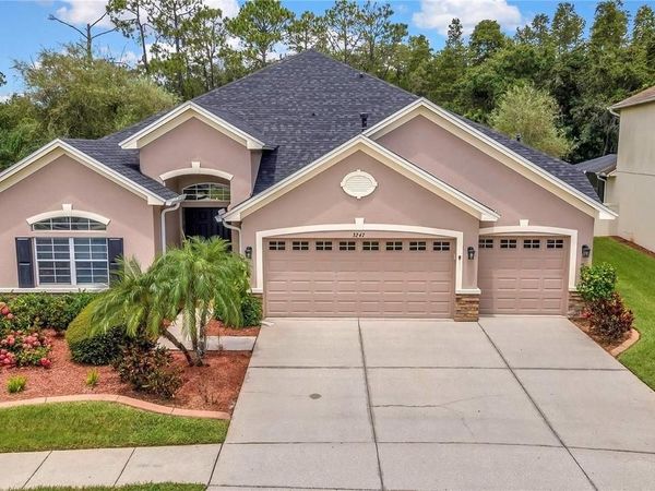 3247 DIAMOND FALLS CIRCLE , LAND O LAKES, FL 34638