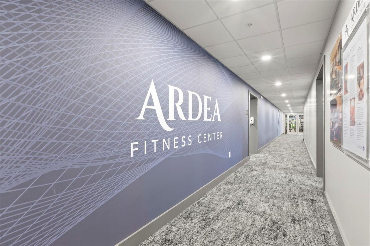 4766 Stoneview Circle, Oldsmar, FL 34677 Photo