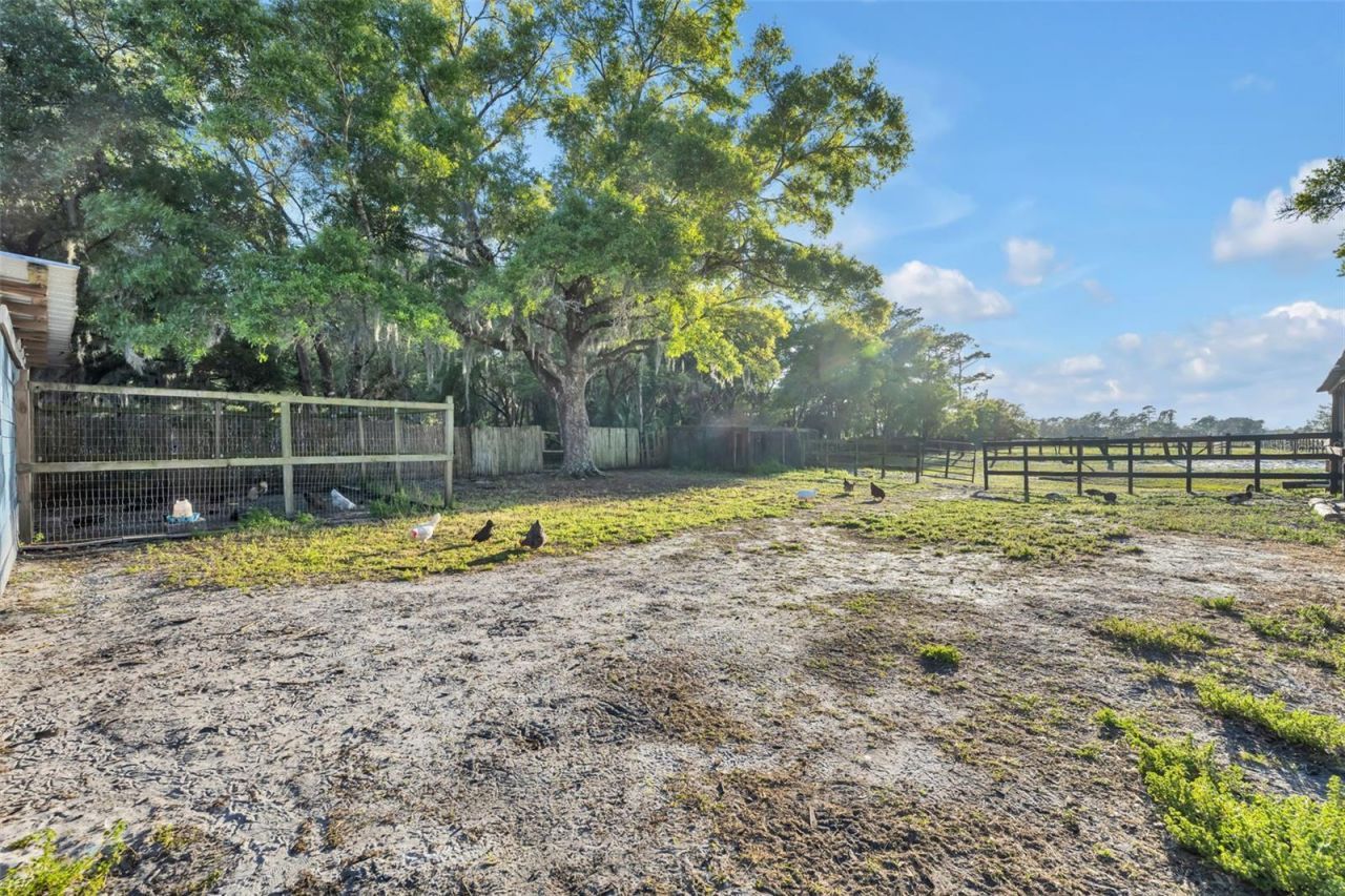 1350 Arapaho Trail, Geneva, FL 32732 Photo