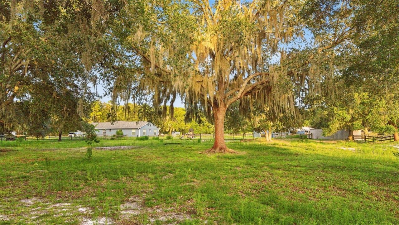 1350 Arapaho Trail, Geneva, FL 32732 Photo