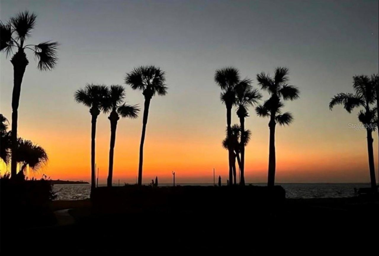 7520 Sunshine Skyway Lane S, Unit T18, Saint Petersburg, FL 33711 Photo