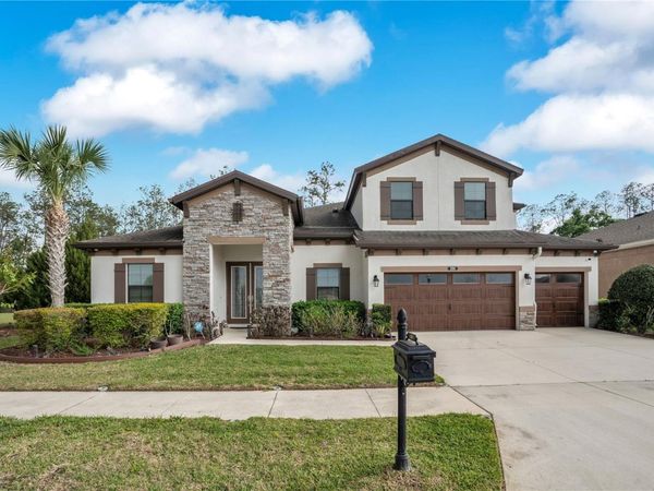 21914 BUTTERFLY KISS DRIVE , LAND O LAKES, FL 34637