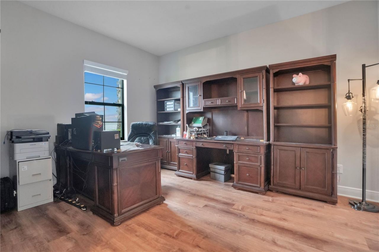 21914 Butterfly Kiss Drive , Land O Lakes, FL 34637 Photo