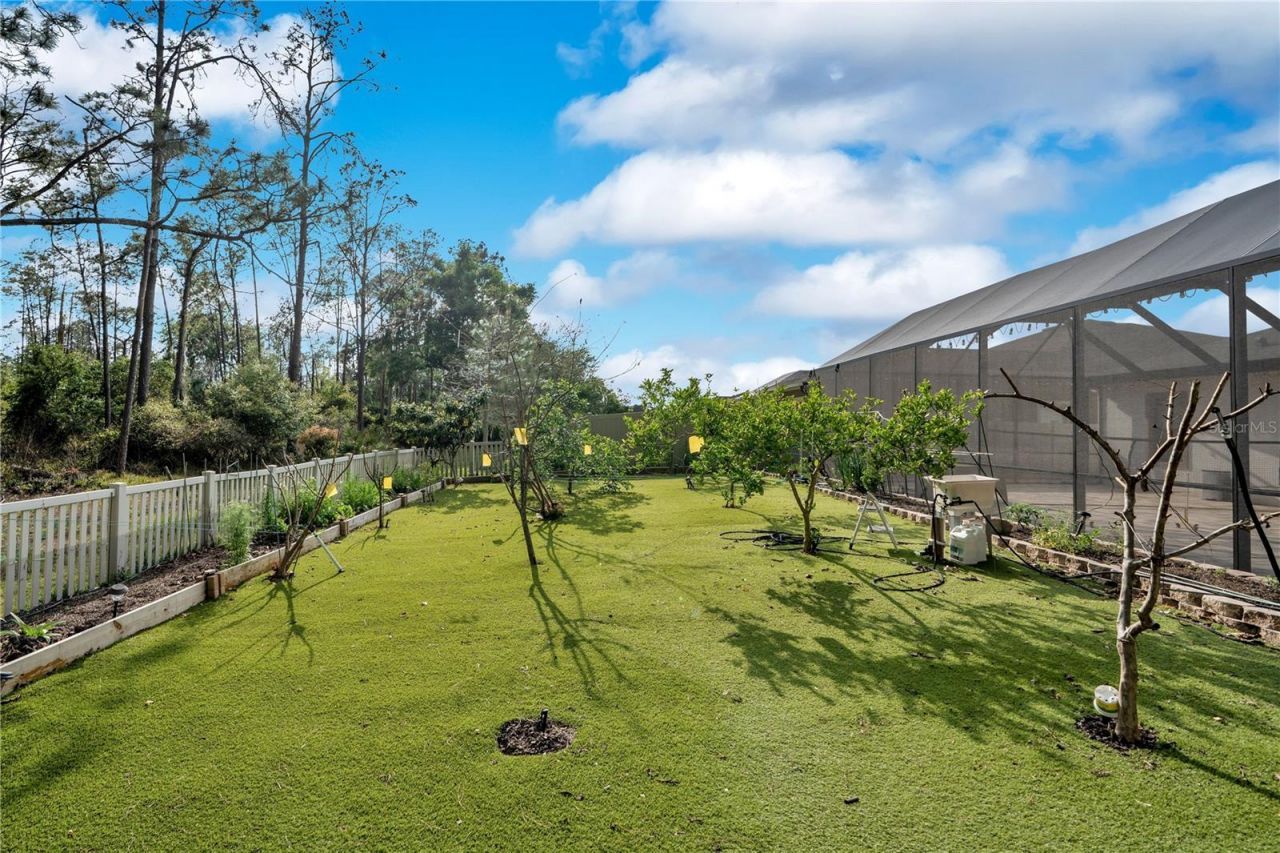 21914 Butterfly Kiss Drive , Land O Lakes, FL 34637 Photo