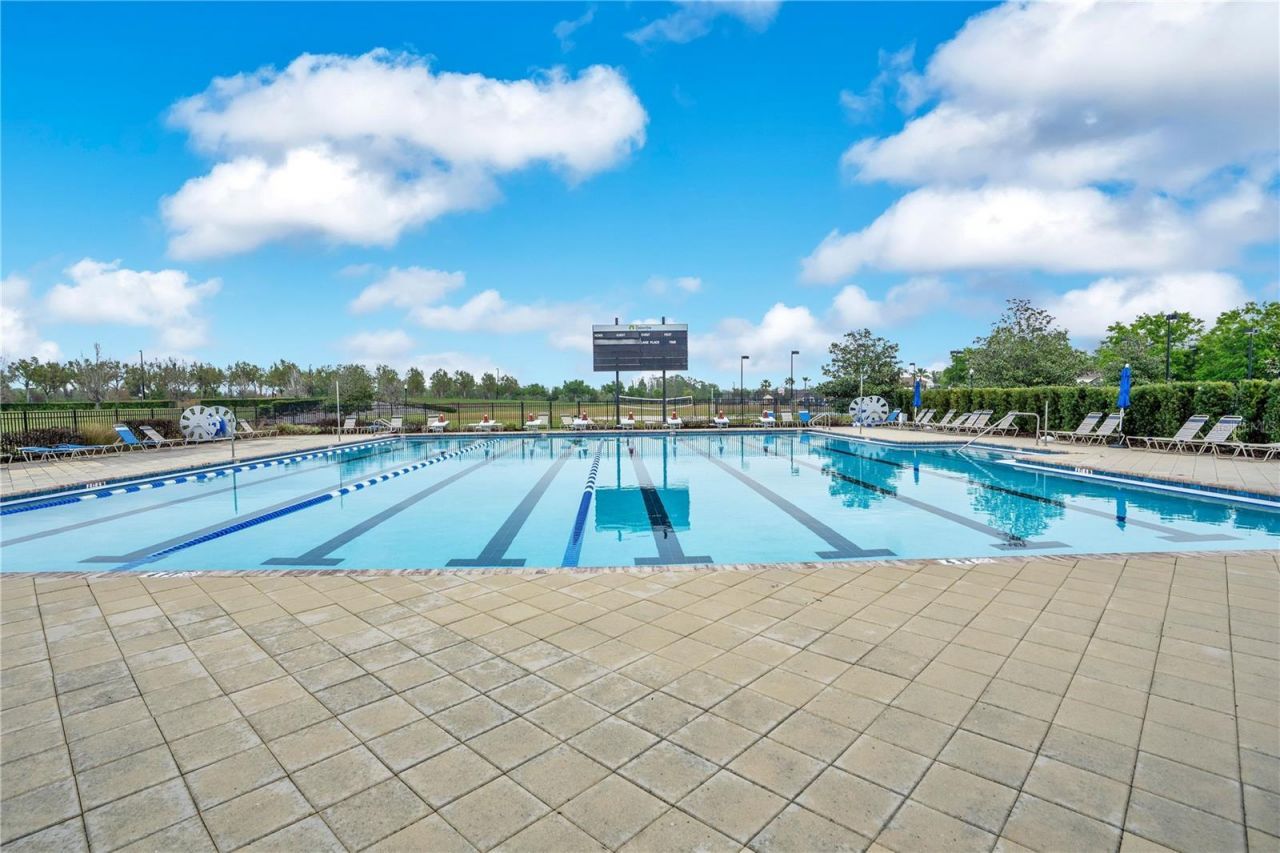 21914 Butterfly Kiss Drive , Land O Lakes, FL 34637 Photo