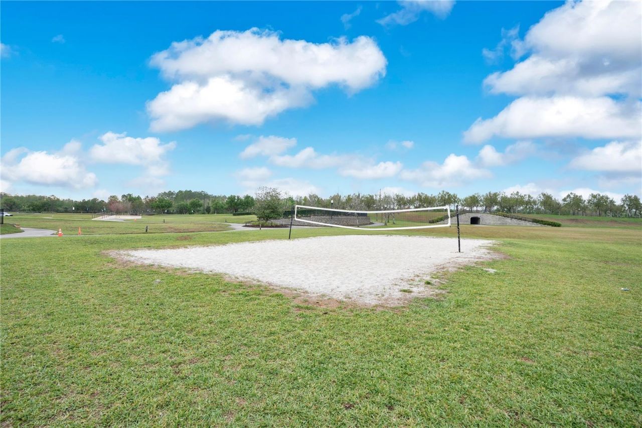 21914 Butterfly Kiss Drive , Land O Lakes, FL 34637 Photo