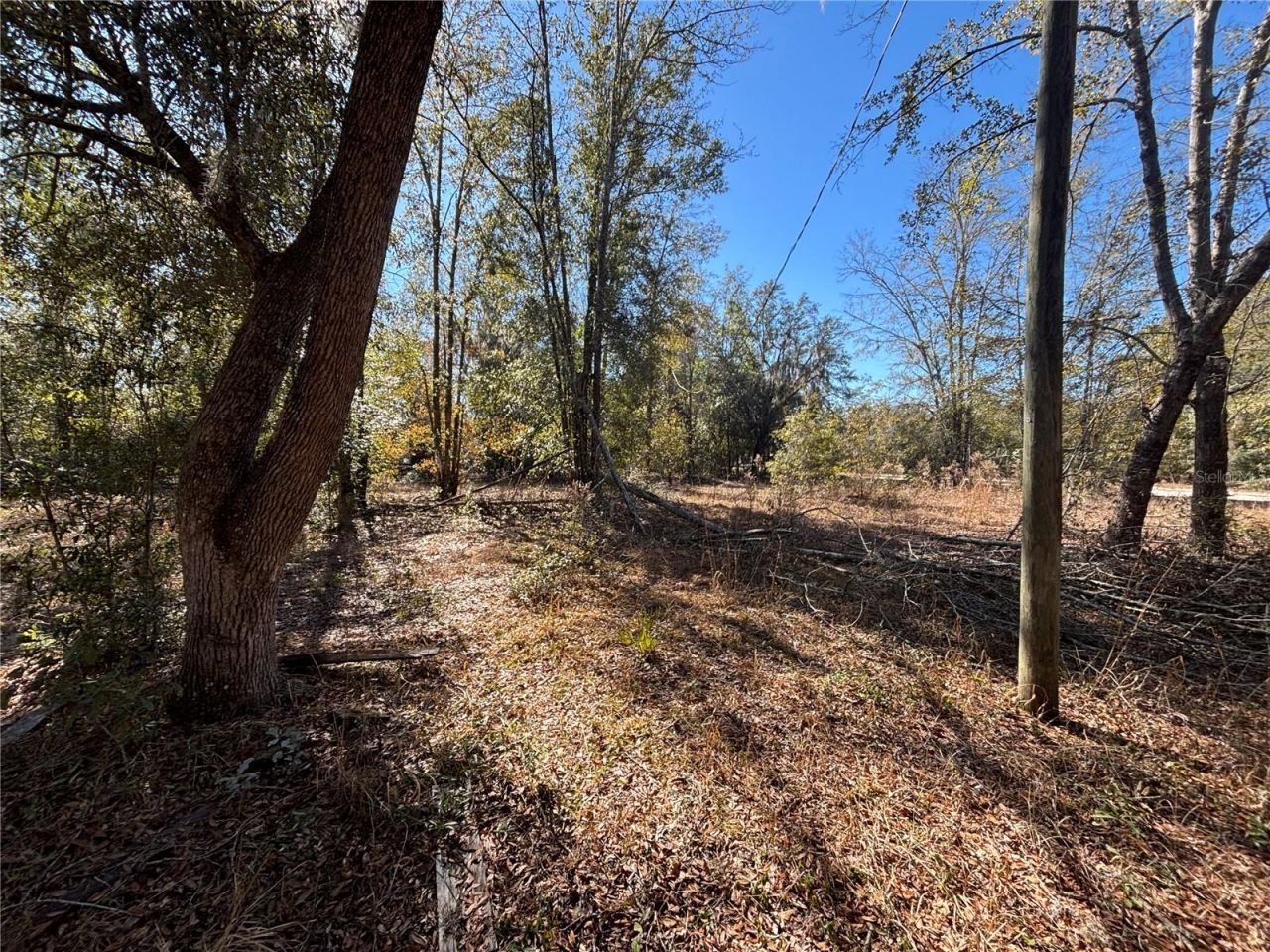1077 NW Hamp Farmer Road, Lake City, FL 32055 Photo