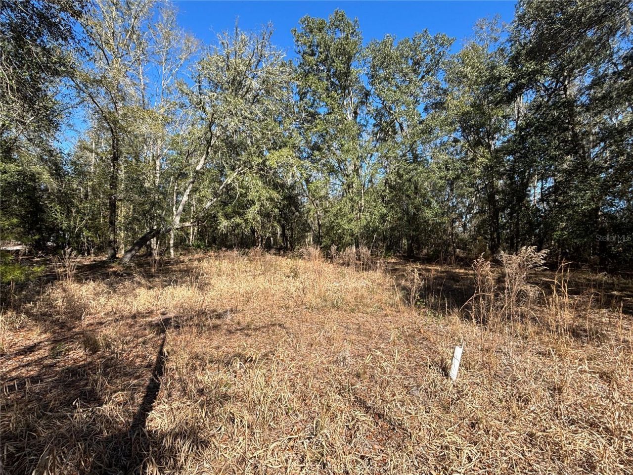 1077 NW Hamp Farmer Road, Lake City, FL 32055 Photo