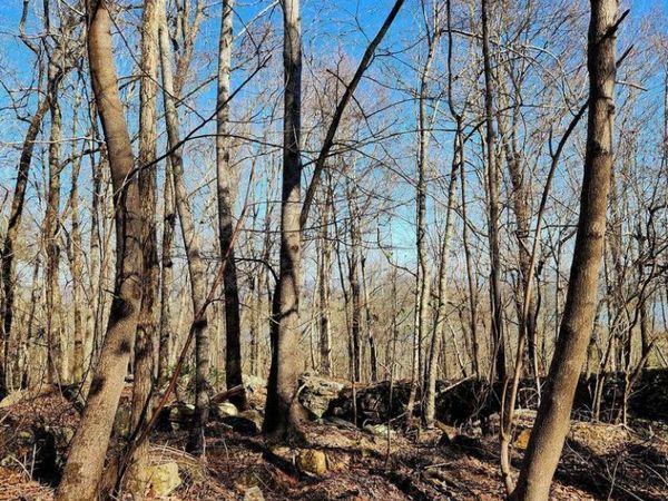 0 Scenic Drive, South Pittsburg, TN 37380