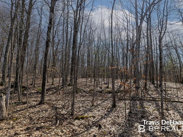 9310 S Benjamin Drive, Newaygo, MI 49337