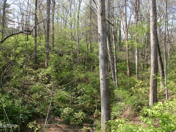 Lot 12 Vanhorn Rd, Knoxville, TN 37918