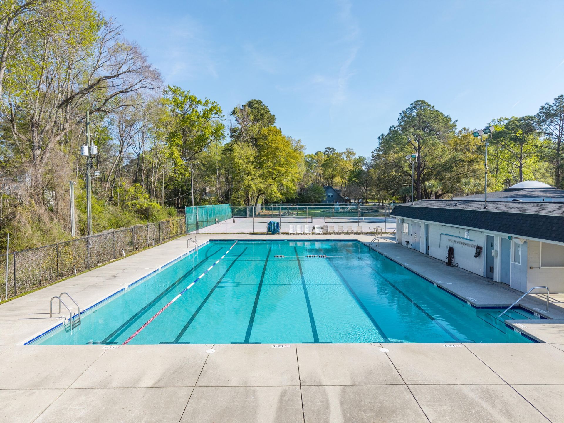 103 Tabby Lane Photo 48