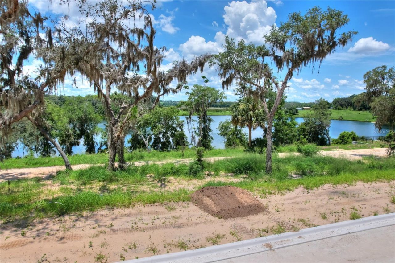161 Tranquil Mirror Lake Court, Unit Lot 9, Clermont, FL 34711 Photo