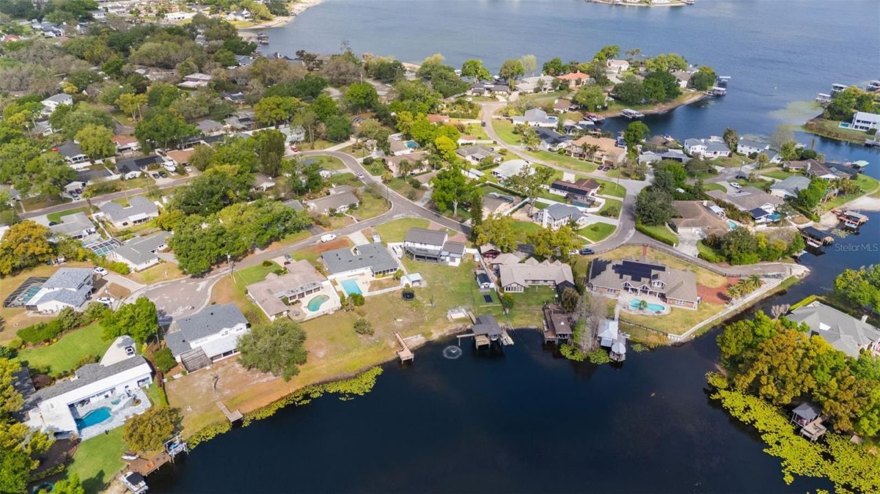 10525 Homestead Drive, Tampa, FL 33618 Photo