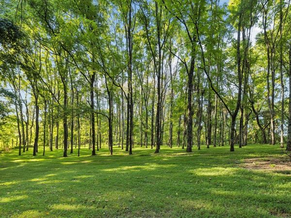 6633 Pinkston Rd, College Grove, TN 37046