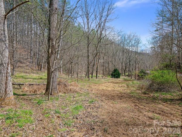 00 Elk Shoals Creek Road , Burnsville, NC 28714