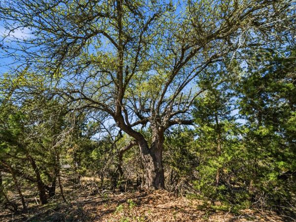 000 Hidden Hills DR, Dripping Springs, TX 78620