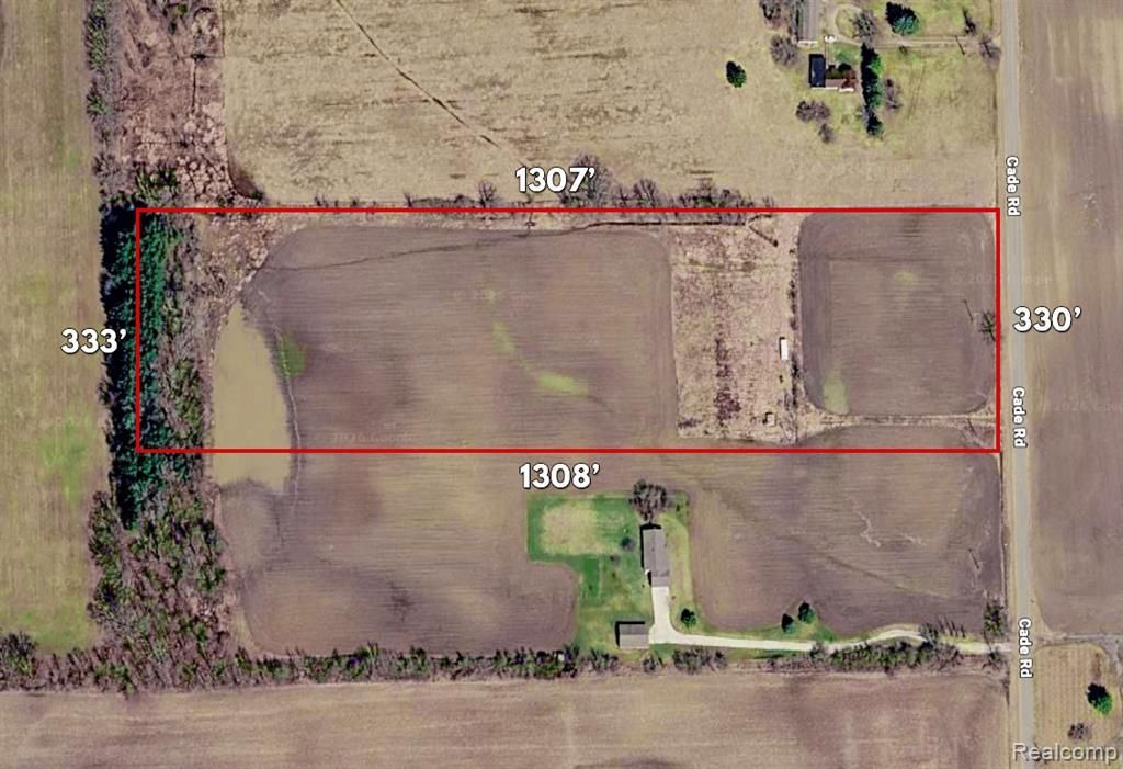 8210 Cade Road, Burnside Township, MI 48416 Main Photo