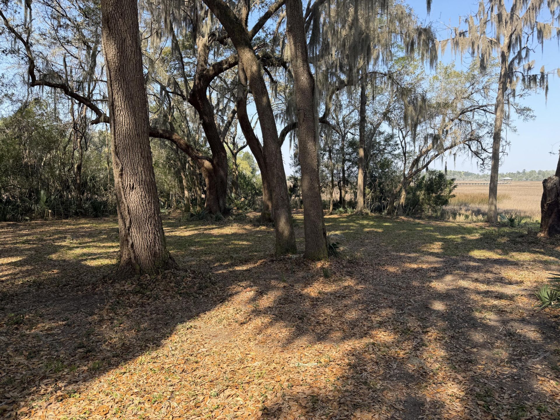 3956 Bulow Plantation Road Photo 40