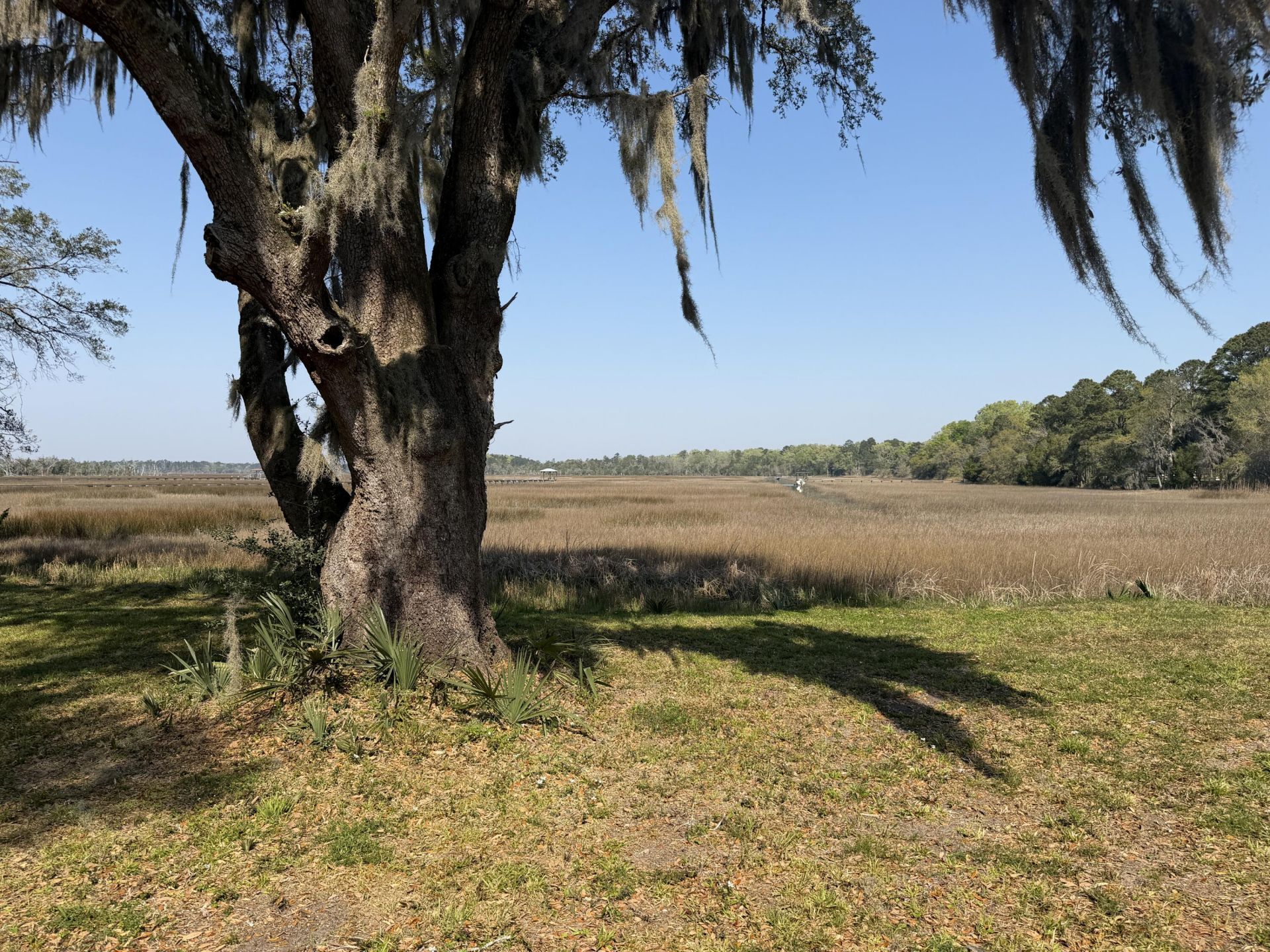 3956 Bulow Plantation Road Photo 42