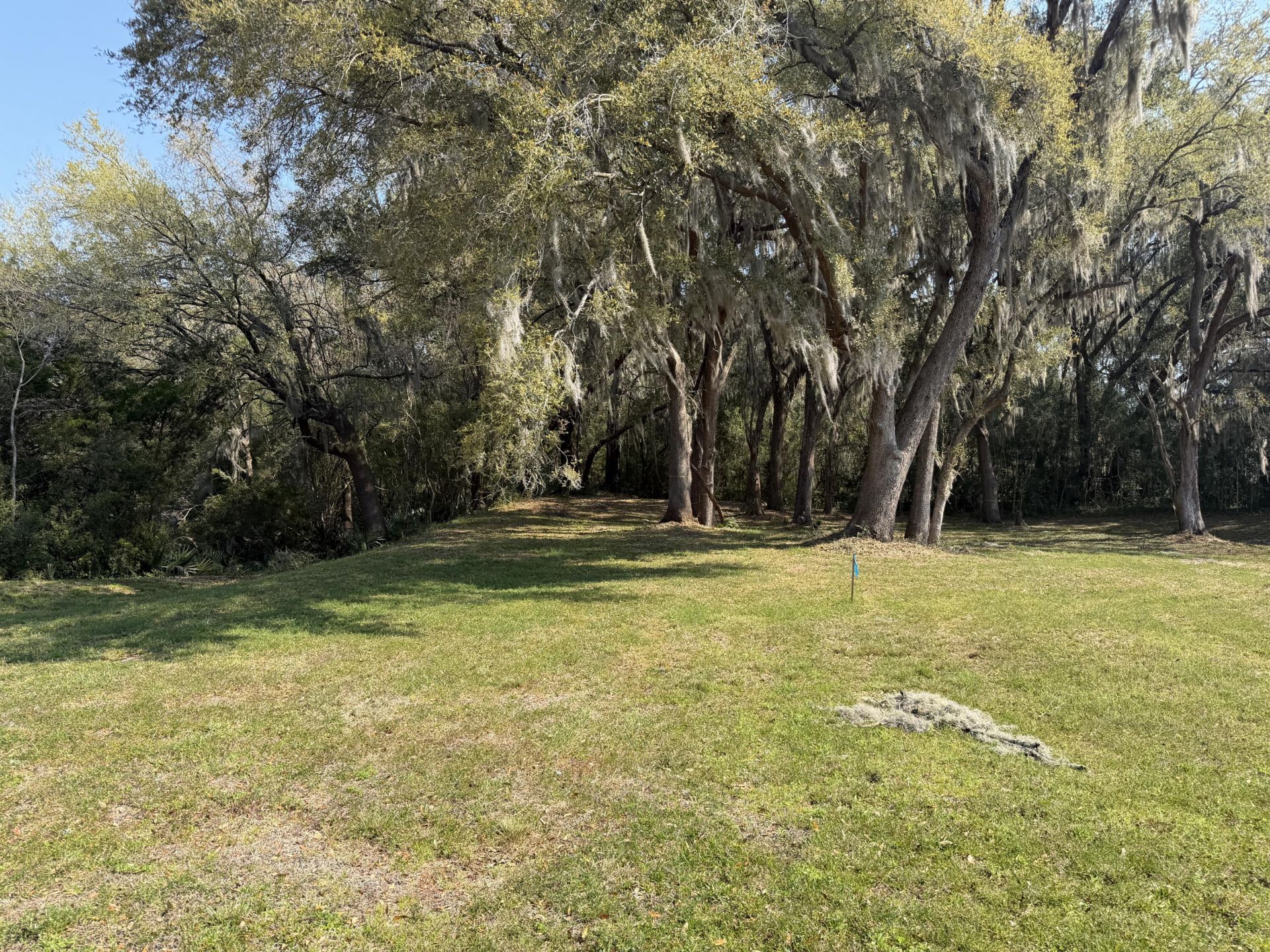 3956 Bulow Plantation Road Photo 44