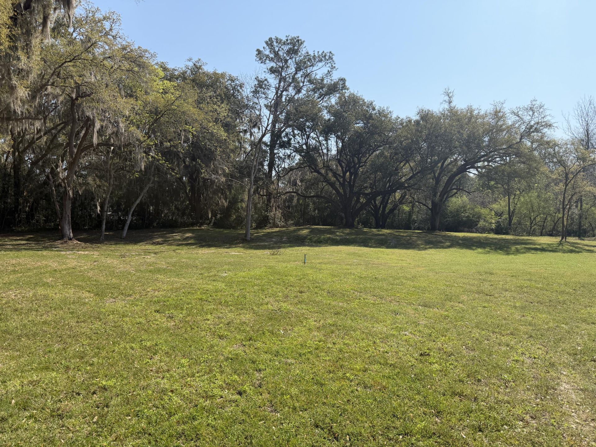 3956 Bulow Plantation Road Photo 45