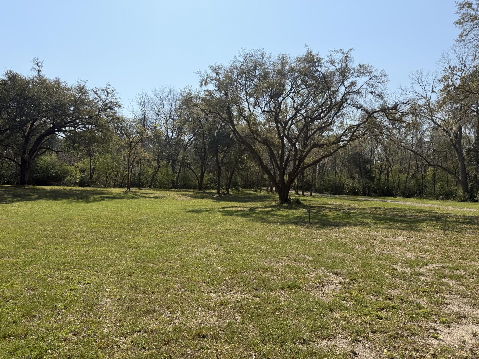 3956 Bulow Plantation Road Photo 46