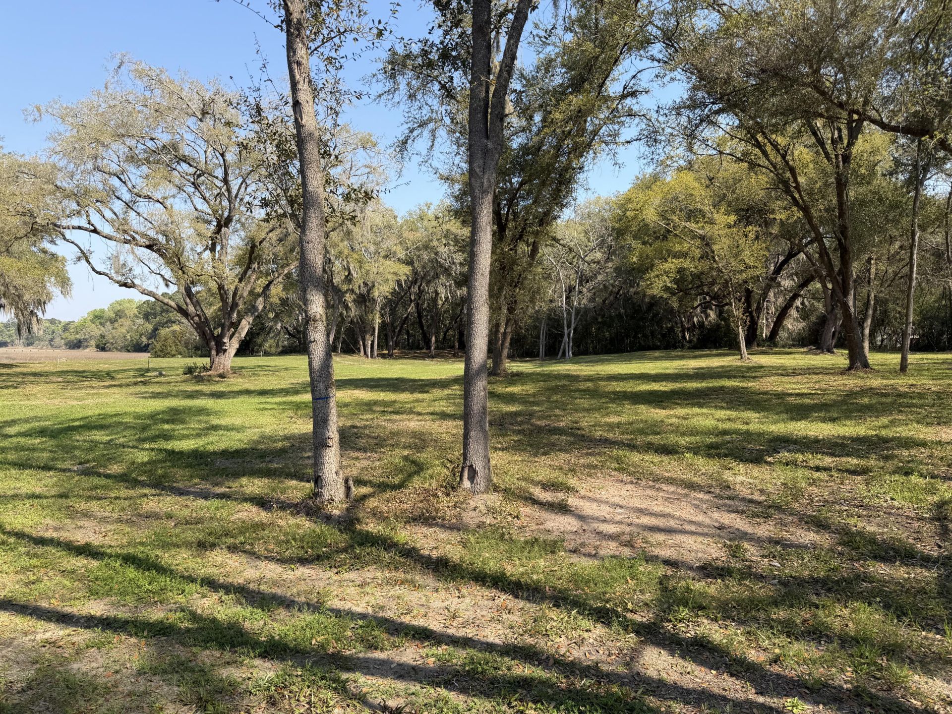 3956 Bulow Plantation Road Photo 47