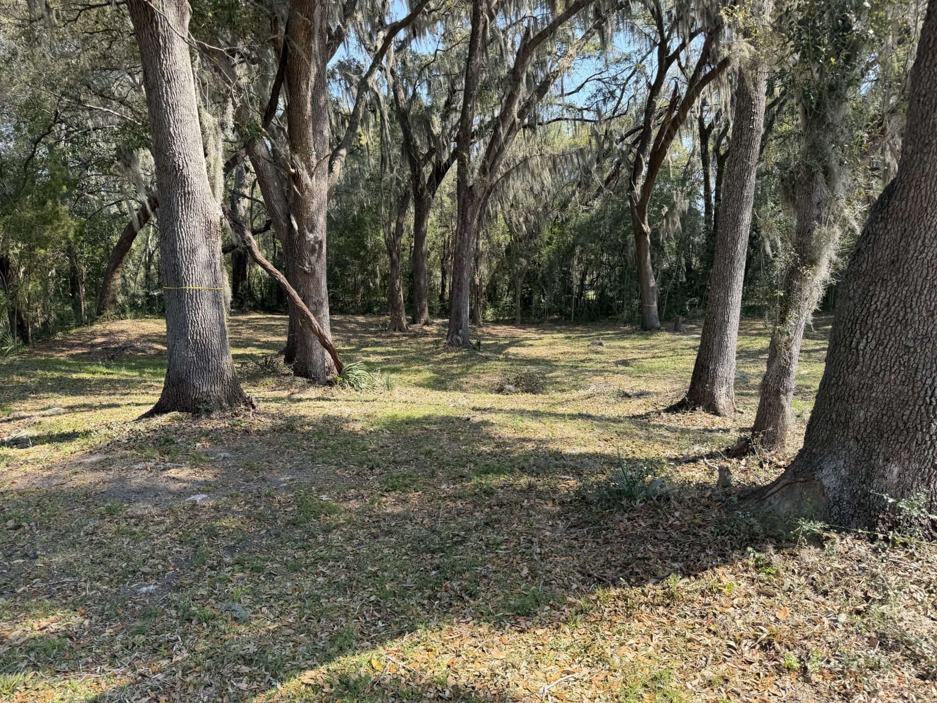 3956 Bulow Plantation Road Photo 49