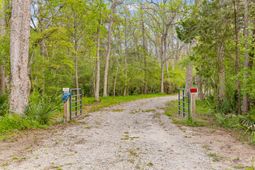 3956 Bulow Plantation Road photo 4