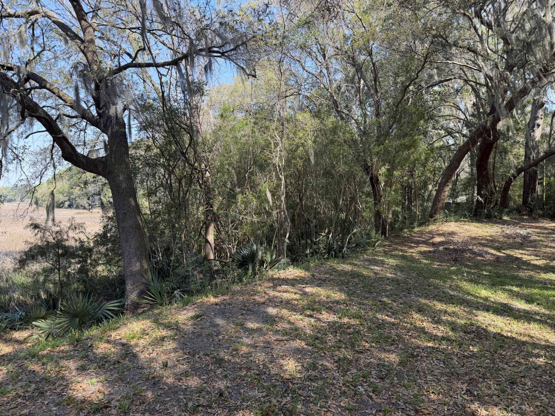 3956 Bulow Plantation Road Photo 50