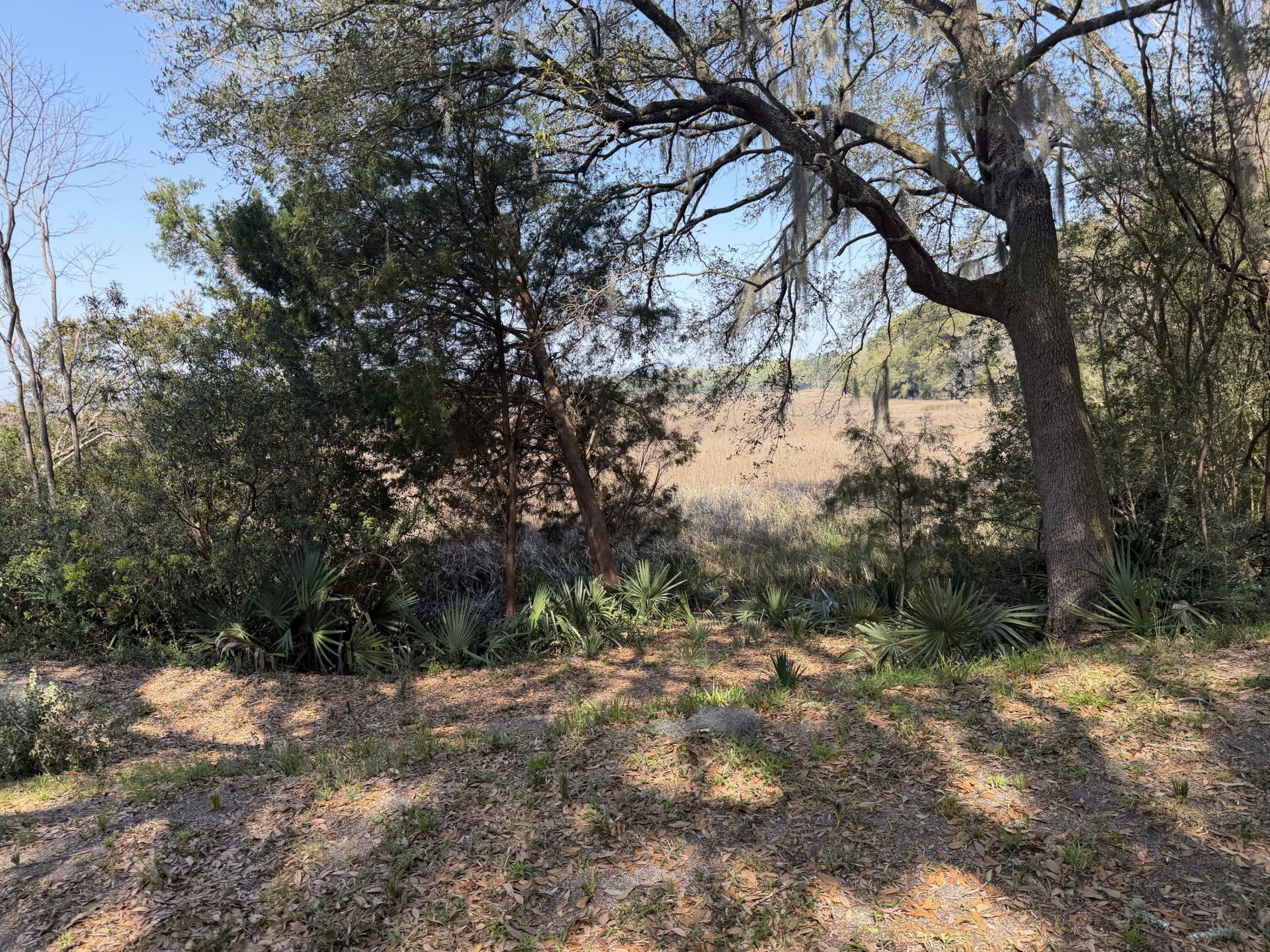 3956 Bulow Plantation Road Photo 51