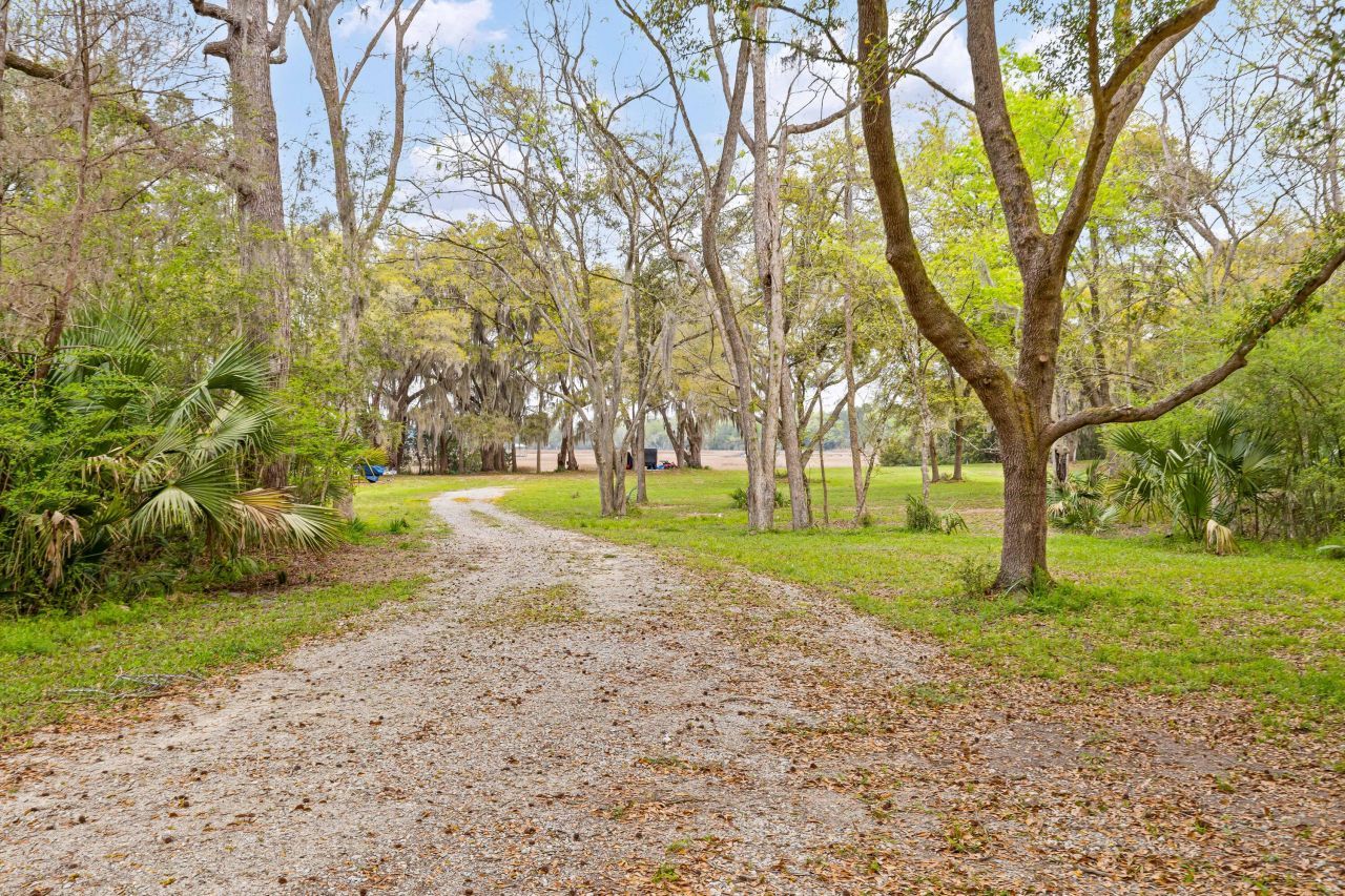 3956 Bulow Plantation Road Photo 6