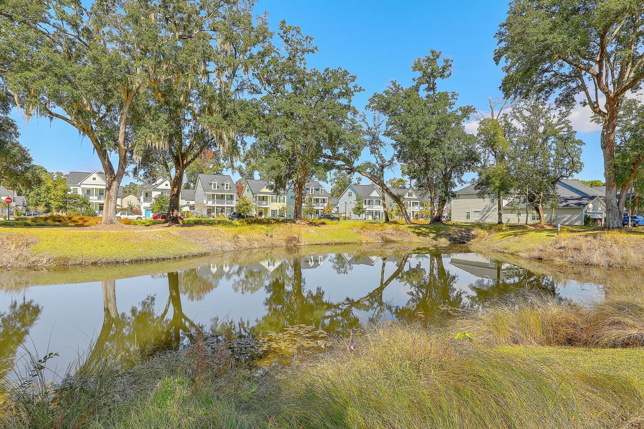 2418 Lilytree Drive Photo 45