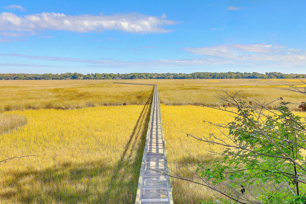 2418 Lilytree Drive Photo 47