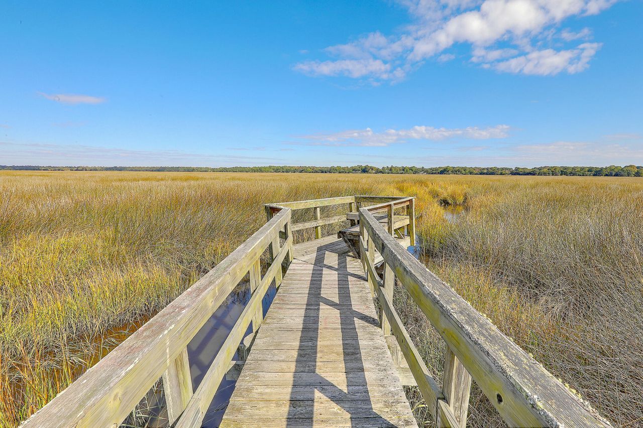 2418 Lilytree Drive Photo 49