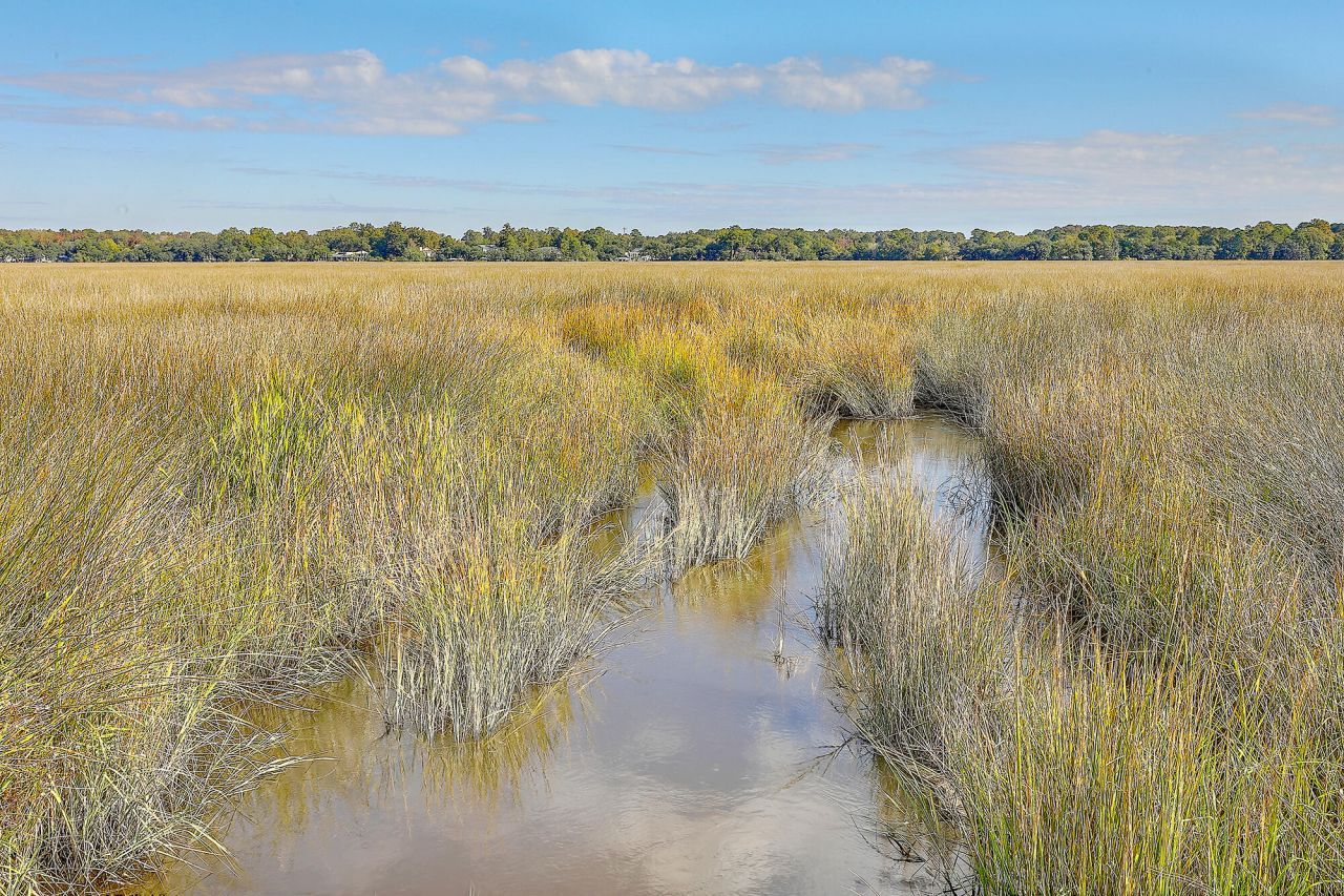 2418 Lilytree Drive Photo 51