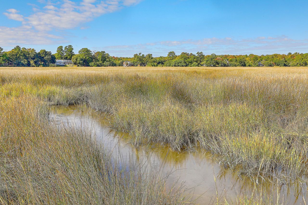 2418 Lilytree Drive Photo 52