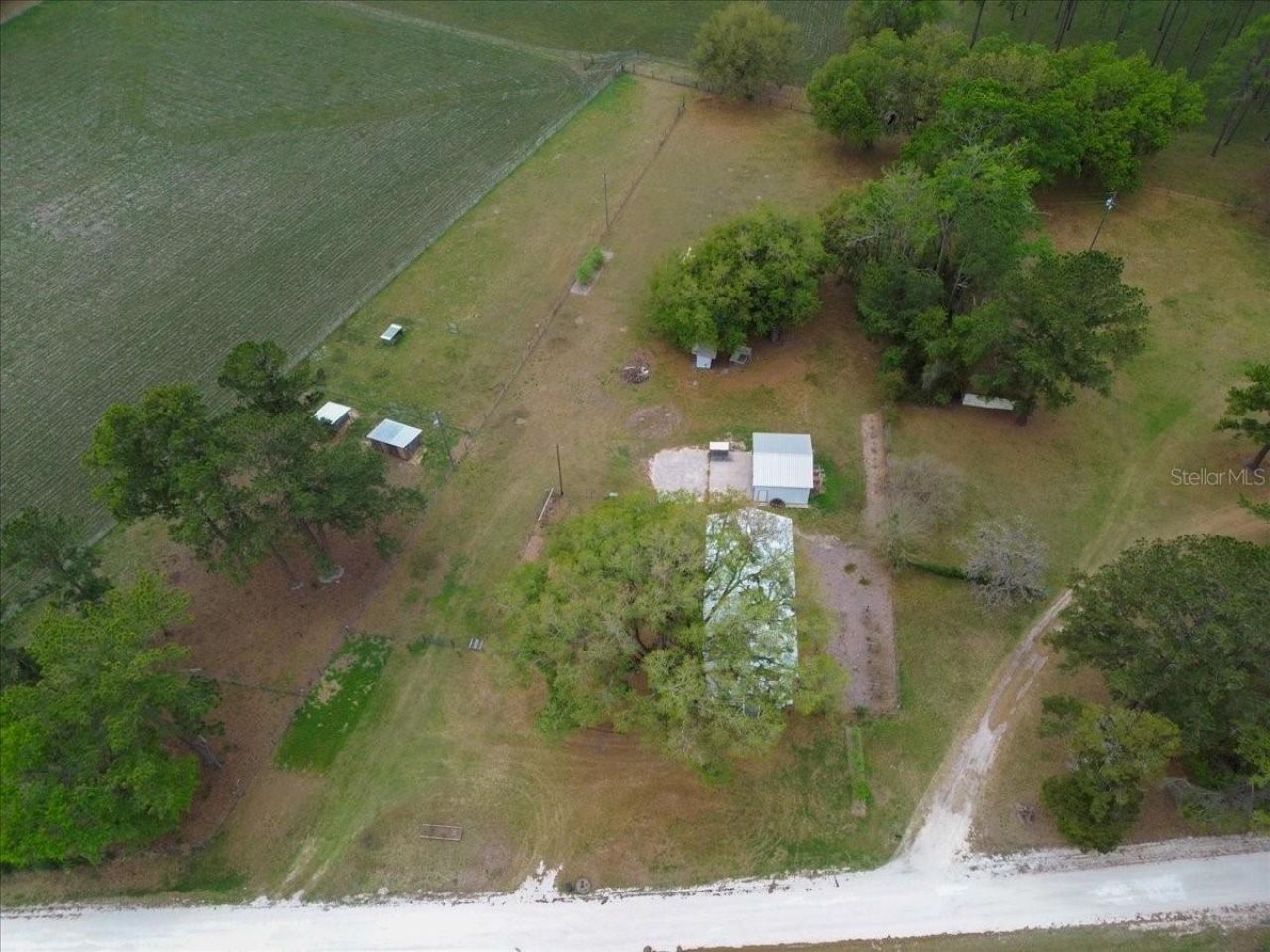 11956 SW 160th Avenue, Brooker, FL 32622 Photo