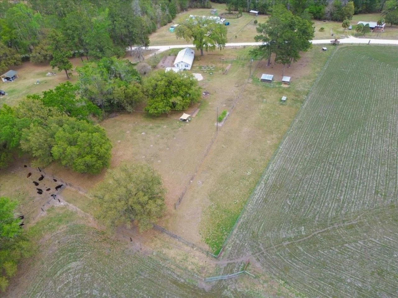 11956 SW 160th Avenue, Brooker, FL 32622 Photo