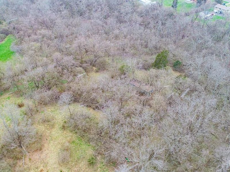 4551 Dameron Lane, Anderson Twp, OH 45244 Photo 3