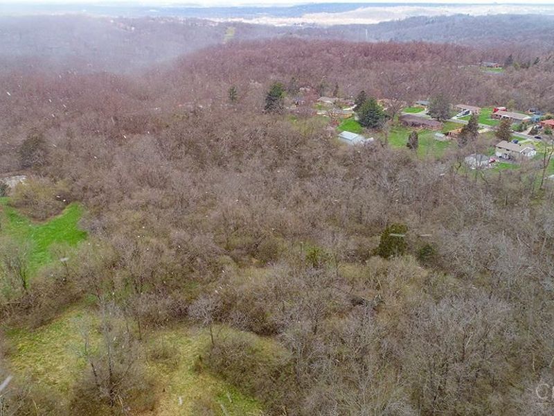 4551 Dameron Lane, Anderson Twp, OH 45244 Photo 5