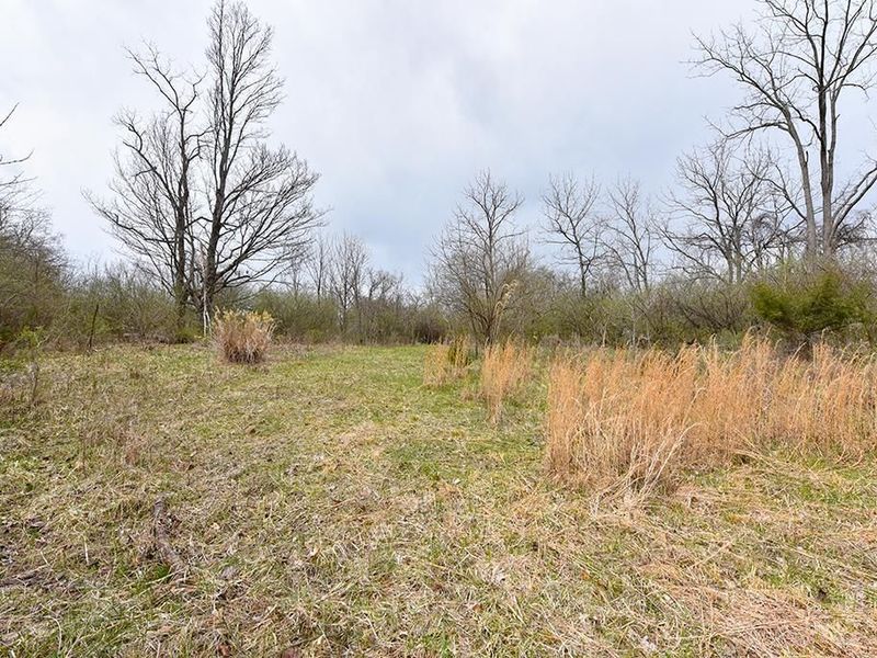 4551 Dameron Lane, Anderson Twp, OH 45244 Photo 6