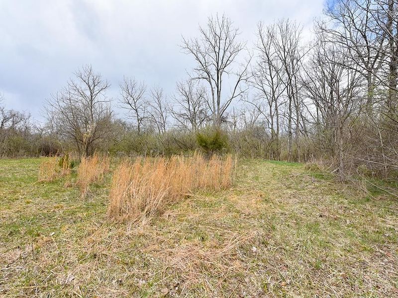 4551 Dameron Lane, Anderson Twp, OH 45244 Photo 7