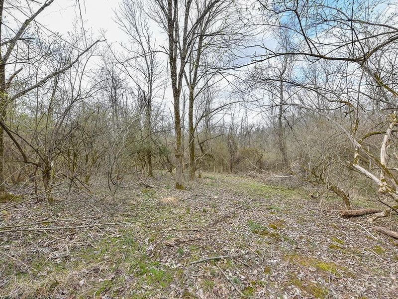 4551 Dameron Lane, Anderson Twp, OH 45244 Photo 9