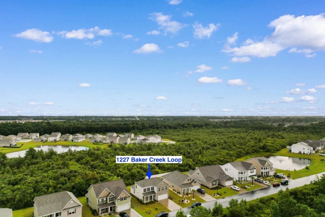 1227 Baker Creek Loop  Photo 39