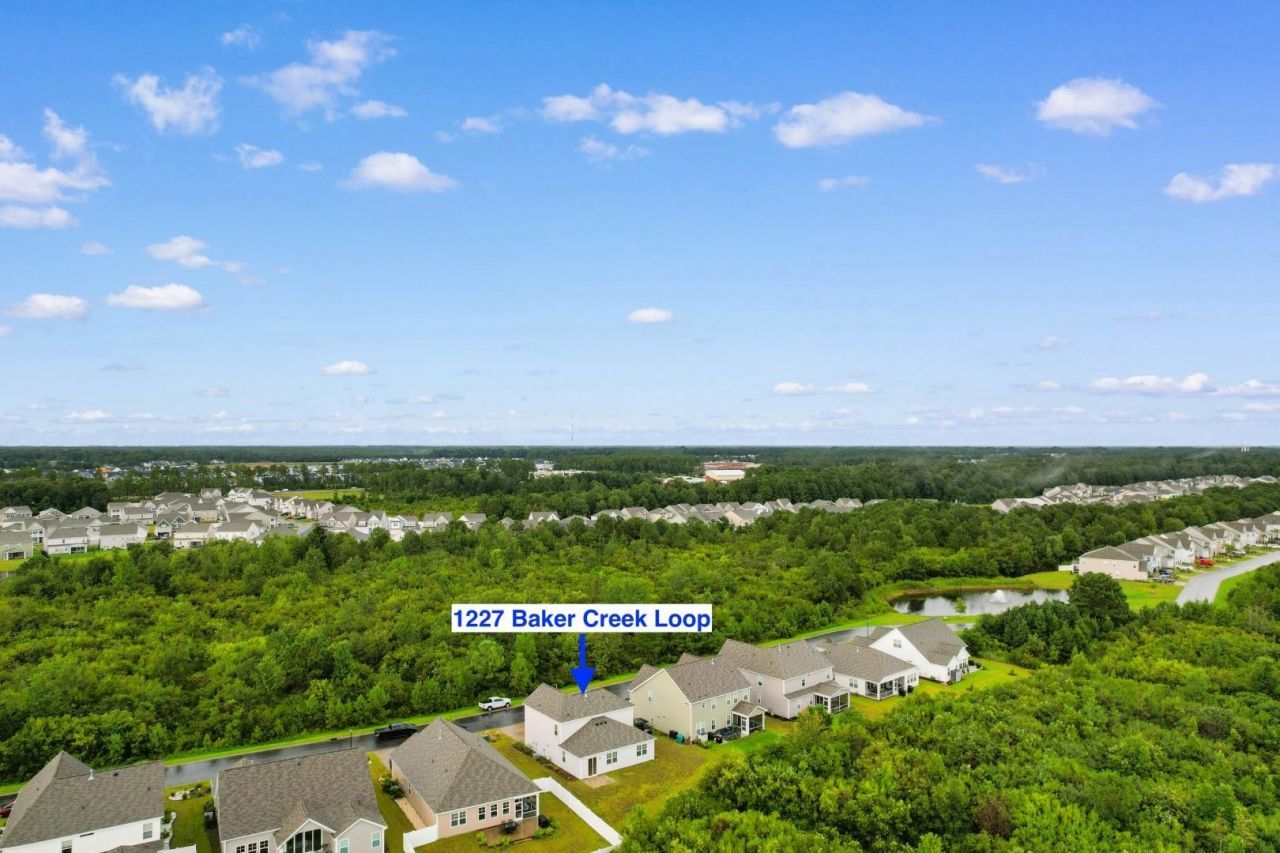 1227 Baker Creek Loop  Photo 40