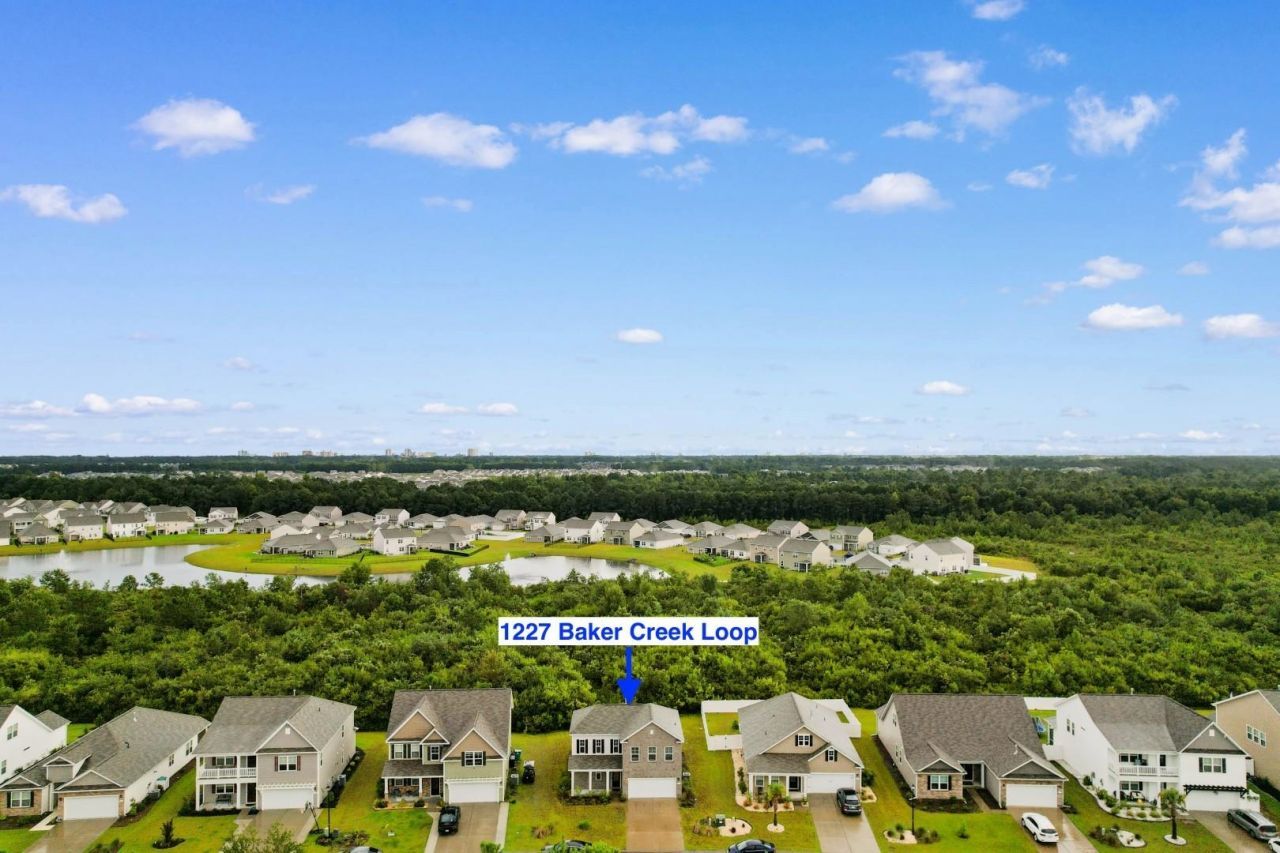 1227 Baker Creek Loop  Photo 7