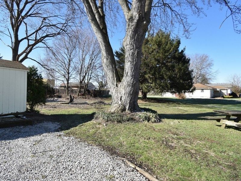 493 Elm Street, Painesville, OH 44077 Photo 39